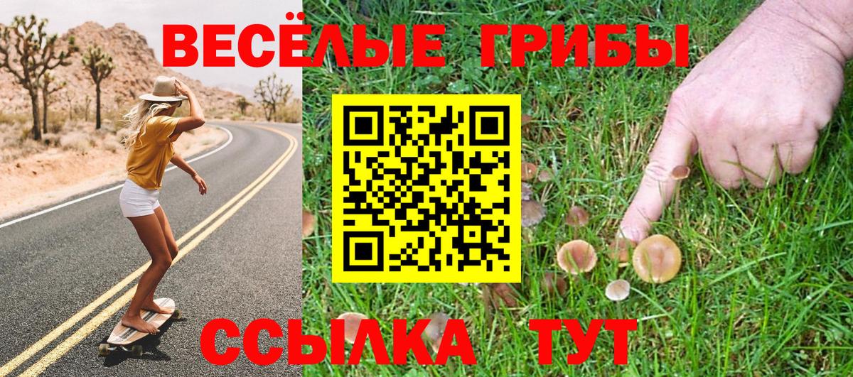 Псилоцибиновые грибы мицелий Кашира